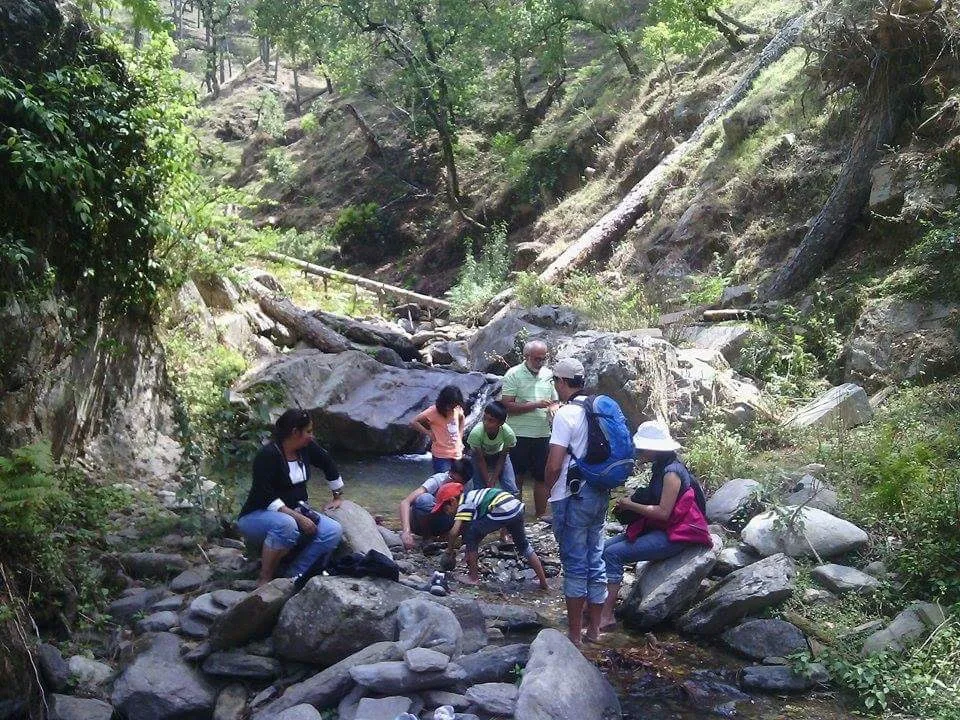 Trekking trails and Himalayan mountain views around Binsar (3)