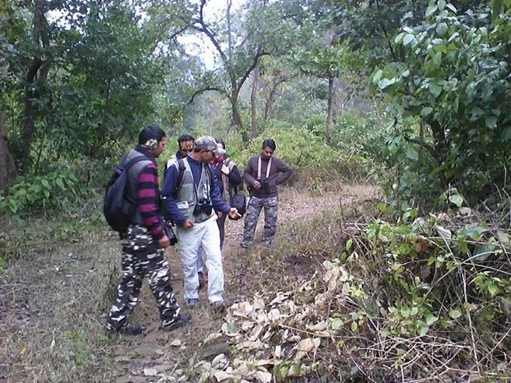 Birds and wildlife photographed around Binsar Wildlife Sanctuary (4)